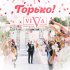 Обложка трека Viva - Горько!