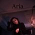 Обложка трека Aria - Зима