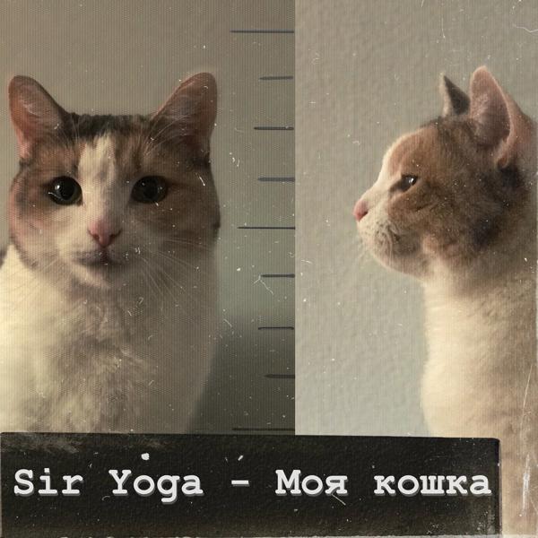 Трек Моя кошка