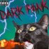 Обложка трека DarkPank - Чёрный кот