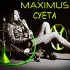 Обложка трека Maximus - Суета