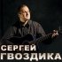 Обложка трека Сергей Гвоздика - Я бываю порою суров