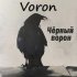 Обложка трека VORON - Чёрный ворон