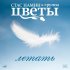 Обложка трека Стас Намин и группа Цветы, Вера Зудина, Олег Предтеченский - Любовь