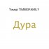 Обложка трека Тимур TIMBIGFAMILY - Дура