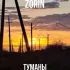 Обложка трека ZORIN - Туманы