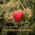 Обложка трека Владимир Цветков - Горячий снег