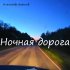 Обложка трека Александр Борисов - Ночная дорога