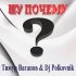 Обложка трека Тимур Вагапов, DJ Polkovnik - Ну почему?