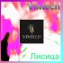 Обложка трека Vintech - Лисица