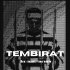 Обложка трека Tembirat - Белые лилии