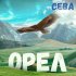 Обложка трека Сева - Орел