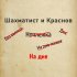 Обложка трека Шахматист, Краснов - Я искал своё место