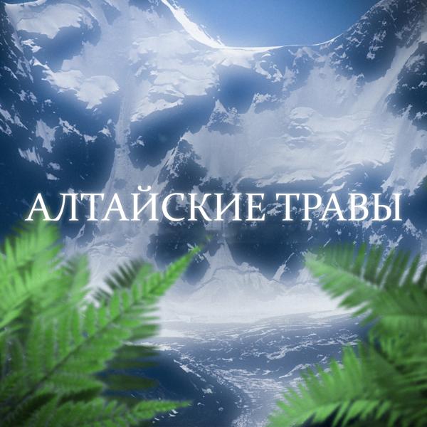 Трек АЛТАЙСКИЕ ТРАВЫ