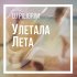 Обложка трека Dj Piligrim - Улетала лета