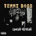 Обложка трека Temmi Dogg - Декабрь