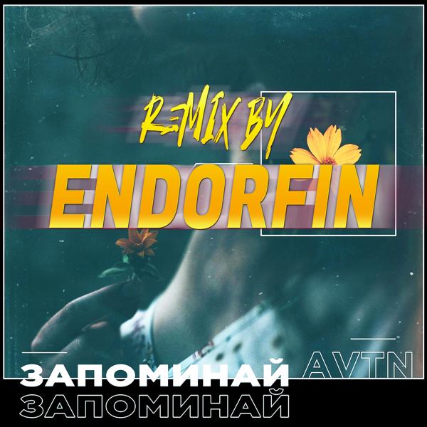 Трек Запоминай (Remix by ENDORFIN)