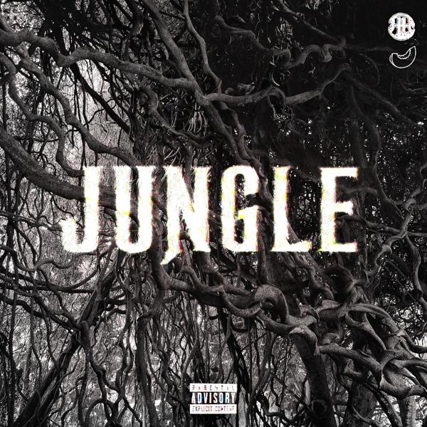 Трек JUNGLE