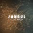 Обложка трека Jambul - Садовое кольцо