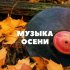 Обложка трека Игорь Николаев - Заблудилась осень