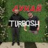 Обложка трека Turbosh - Дунай