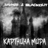 Обложка трека Shum86, The Blackout - Картина мира