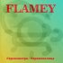 Обложка трека Flamey, Liz Project - Ритмы любви