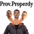 Обложка трека Prov.property - МЫ Кидалы