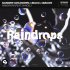 Обложка трека Sander Van Doorn, Selva, Madcon, Chacel - Raindrops (feat. Chacel)