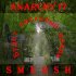 Обложка трека Anarchy17, Smersh - Будет ласковый дождь