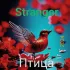 Обложка трека Stranger - Птица (2024)