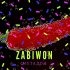 Обложка трека ZABIWON - МЕТАДОН