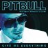 Обложка трека Pitbull, Ne-Yo, Afrojack, N.Ayer - Give Me Everything