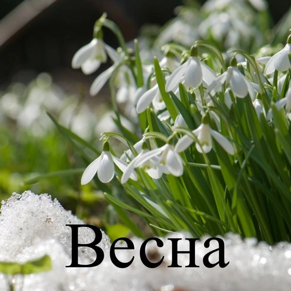 Трек Весна