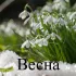 Обложка трека Rodon - Весна