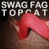 Обложка трека Swag Fag - Томкэт