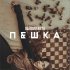 Обложка трека Обними Кита - Пешка