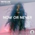 Обложка трека TRITICUM - Now or Never