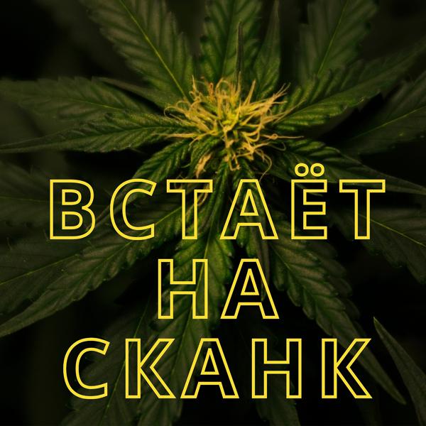 Трек Встаёт на сканк