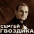 Обложка трека Сергей Гвоздика - Ночь