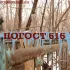 Обложка трека VTOROYPRIHOD - Погост 616