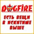 Обложка трека DOGFIRE - Есть вещи в Искитиме выше