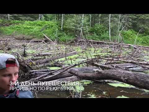 Шиша - Наоко видео (клип)