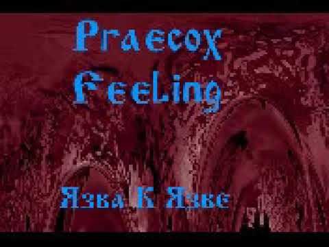 praecox feeling - Запад видео (клип)