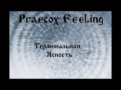 praecox feeling - Бездонный колодец видео (клип)