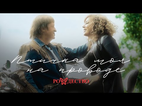 рождество, Ольга Селезнева - Птичка моя на проводе видео (клип)