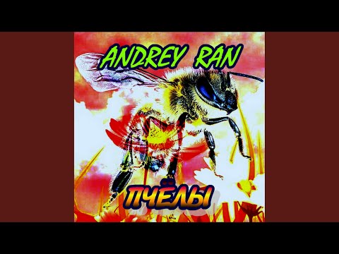 Andrey Ran - Пчёлы видео (клип)