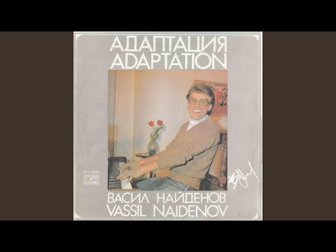 Васил Найденов - Ежедневие видео (клип)