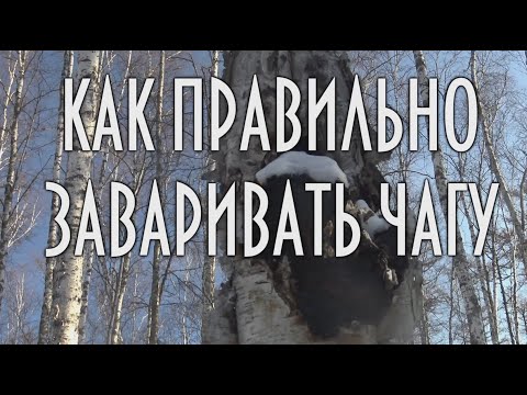 Щага - Рецепты видео (клип)