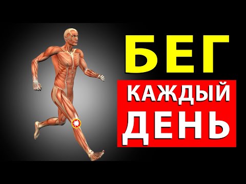 Bega - Каждый день видео (клип)